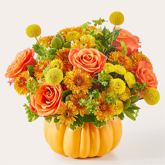 Gourdgeous Pumpkin –  Colonial Nursery Garden Center, Ladysmith WI