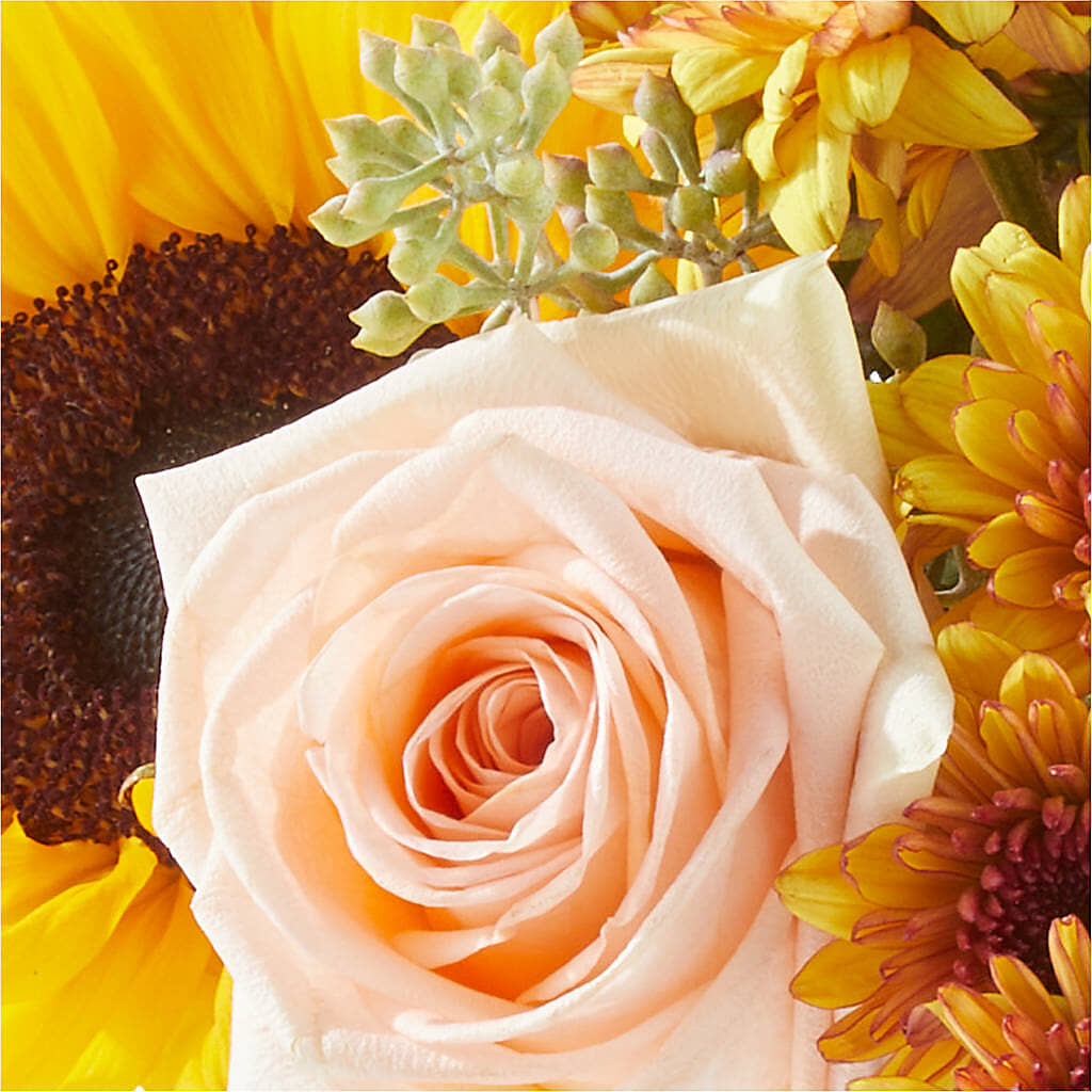 Pumpkin to Talk About Bouquet –  Colonial Nursery Garden Center, Ladysmith WI
