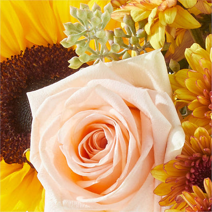 Pumpkin to Talk About Bouquet –  Colonial Nursery Garden Center, Ladysmith WI