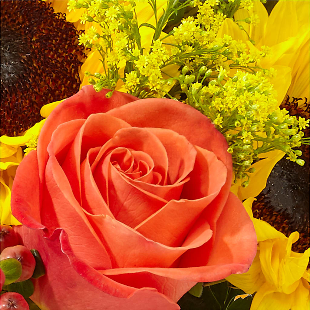 Pick of the Patch Pumpkin Bouquet –  Colonial Nursery Garden Center, Ladysmith WI