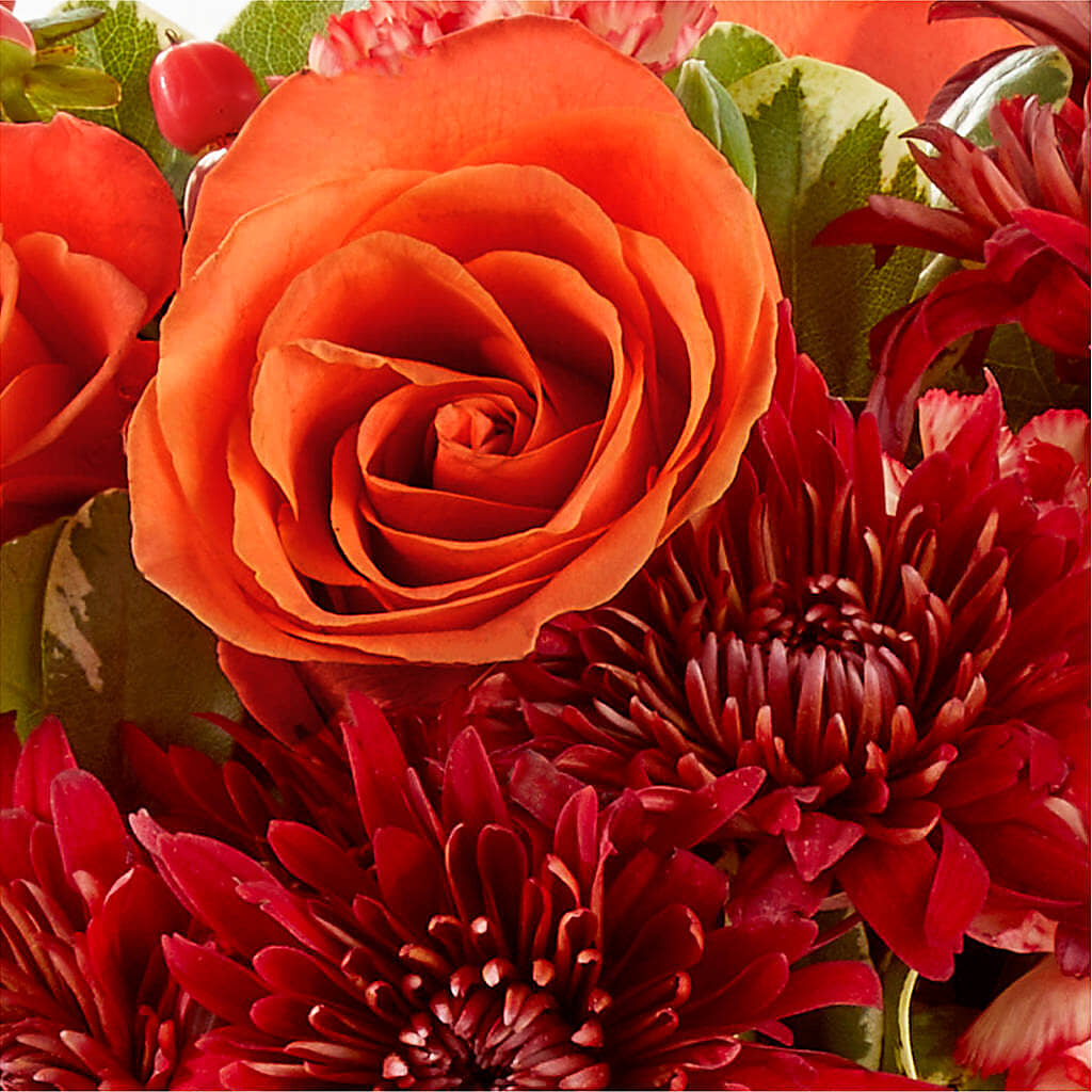 Autumn Air Pumpkin Bouquet –  Colonial Nursery Garden Center, Ladysmith WI