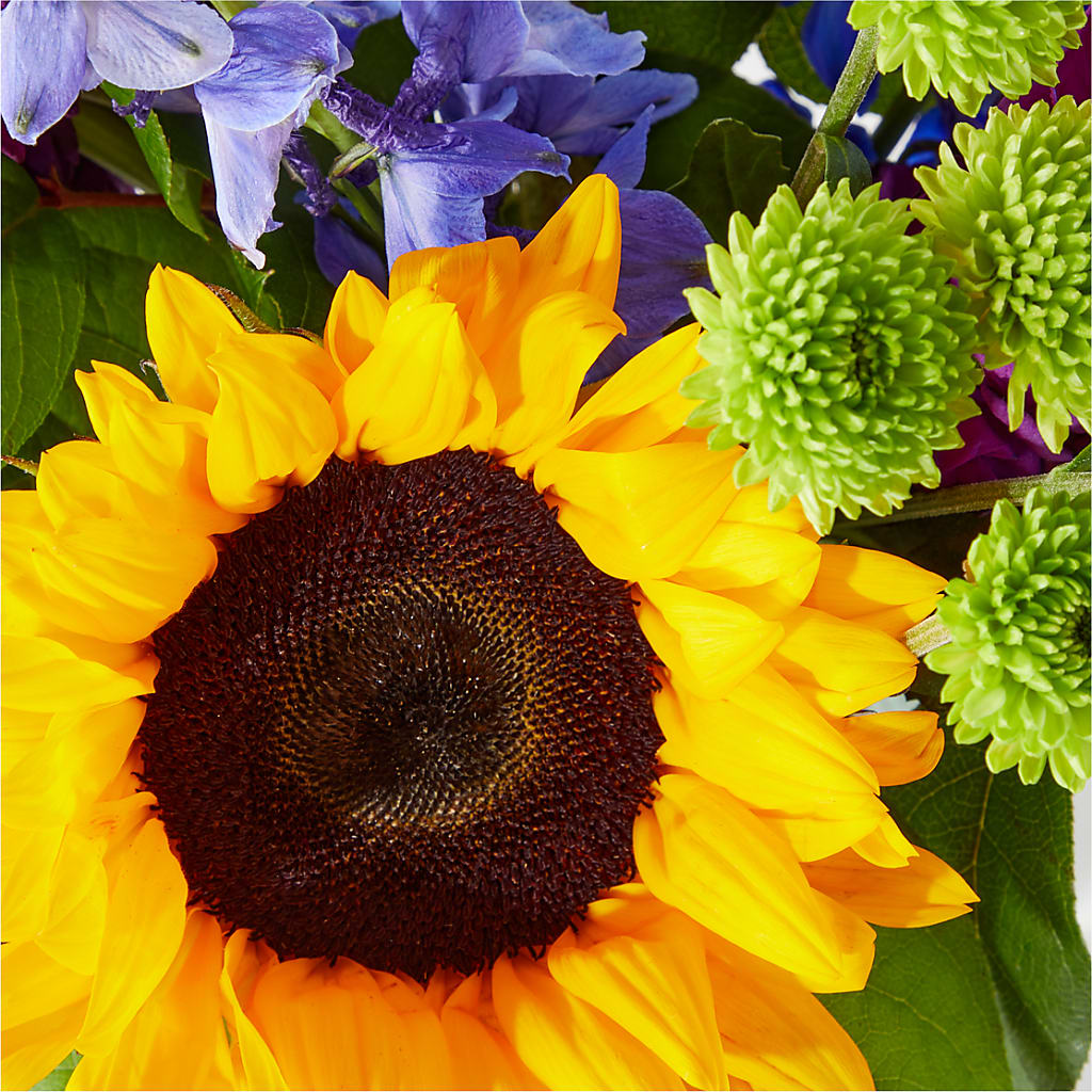 Catching Rays Bouquet –  Colonial Nursery Garden Center, Ladysmith WI