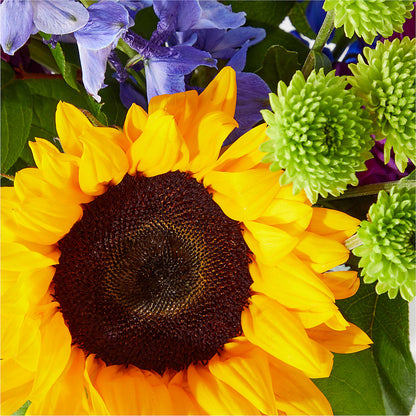 Catching Rays Bouquet –  Colonial Nursery Garden Center, Ladysmith WI