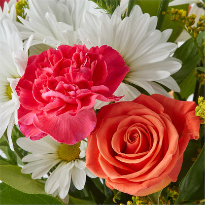Oopsie Daisy Bouquet –  Colonial Nursery Garden Center, Ladysmith WI
