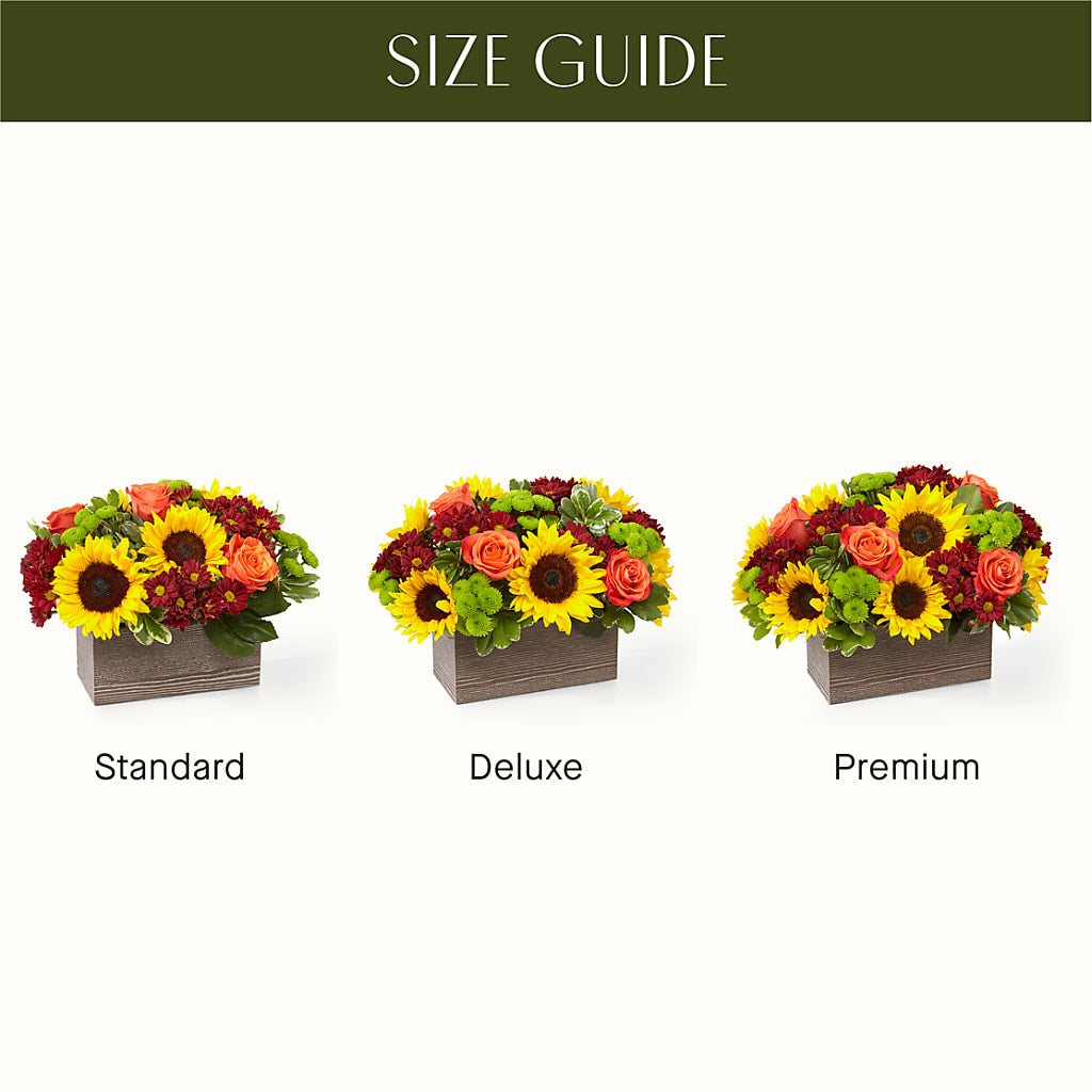 Happy Harvest Garden –  Colonial Nursery Garden Center, Ladysmith WI