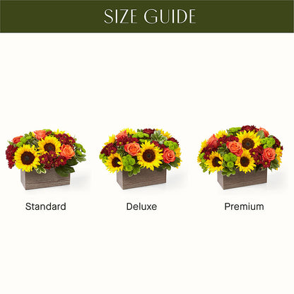 Happy Harvest Garden –  Colonial Nursery Garden Center, Ladysmith WI