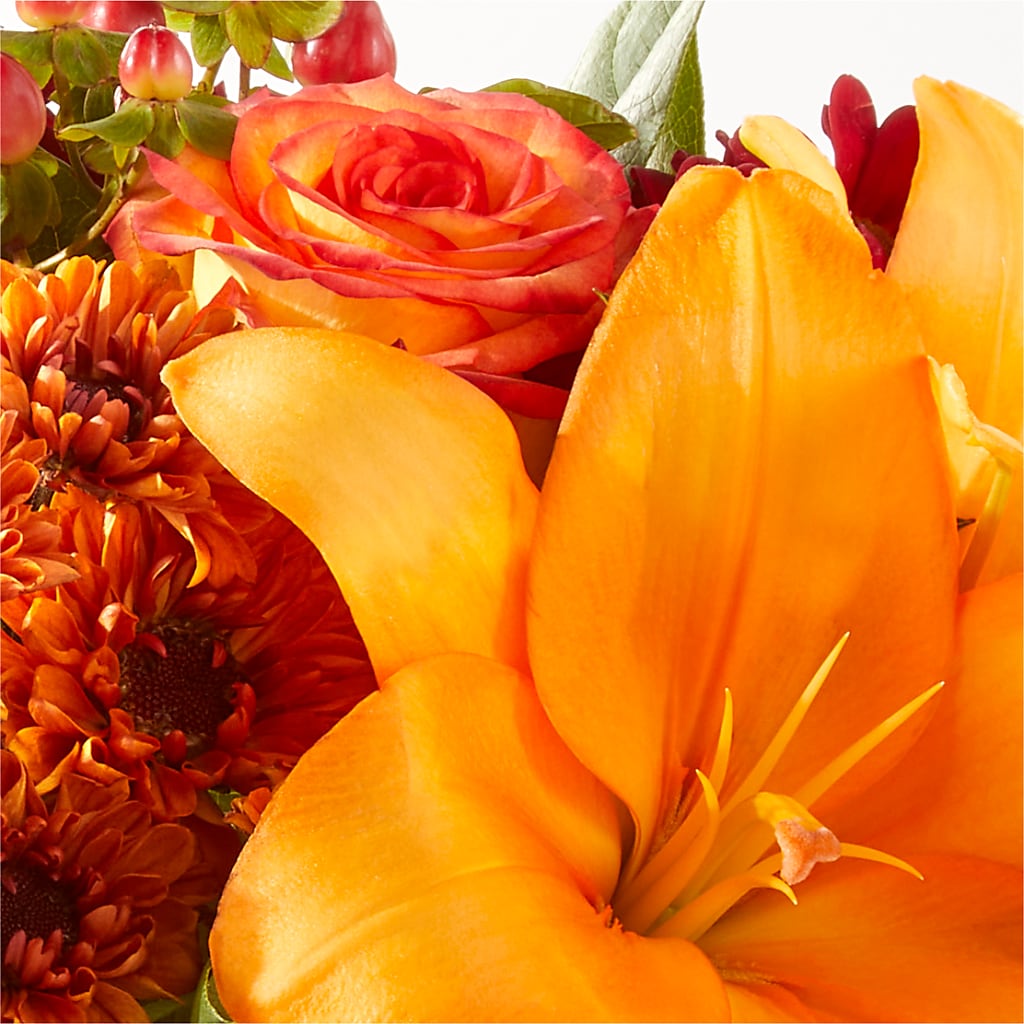 Backyard Bonfire Bouquet –  Colonial Nursery Garden Center, Ladysmith WI