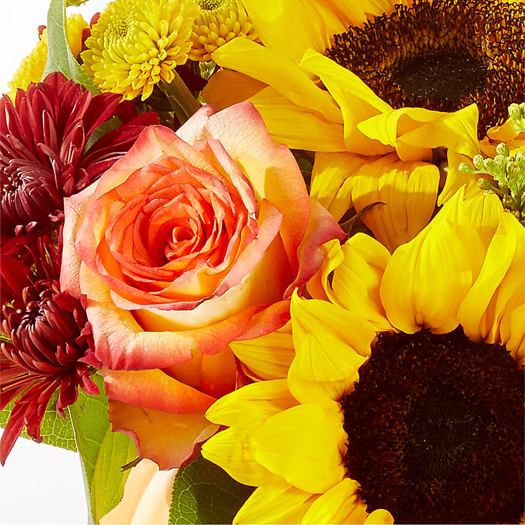 Golden Gourd Pumpkin Bouquet –  Colonial Nursery Garden Center, Ladysmith WI