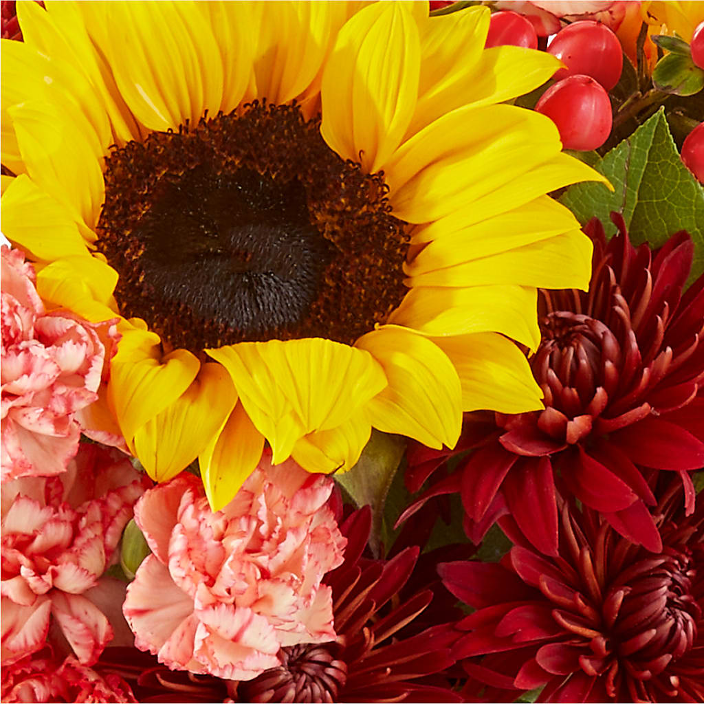 Fresh Cider Bouquet –  Colonial Nursery Garden Center, Ladysmith WI