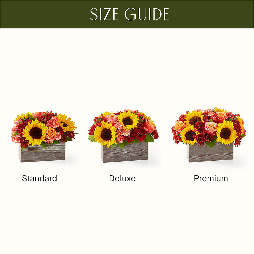 Fresh Cider Bouquet –  Colonial Nursery Garden Center, Ladysmith WI