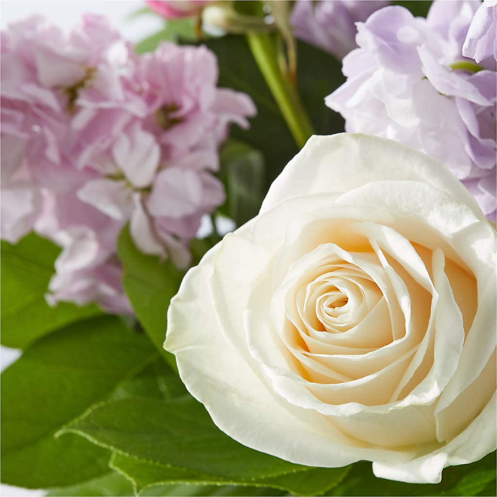 Springtime Spritz Bouquet –  Colonial Nursery Garden Center, Ladysmith WI