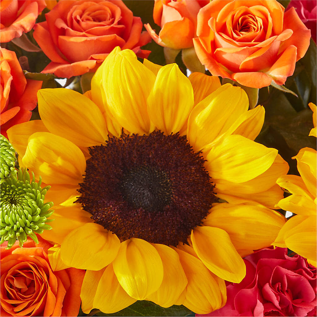 Sun-drenched Blooms Box Bouquet –  Colonial Nursery Garden Center, Ladysmith WI