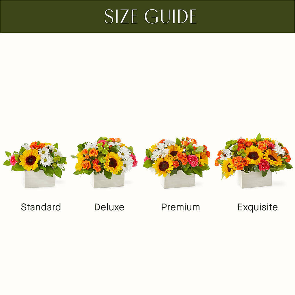 Sun-drenched Blooms Box Bouquet –  Colonial Nursery Garden Center, Ladysmith WI