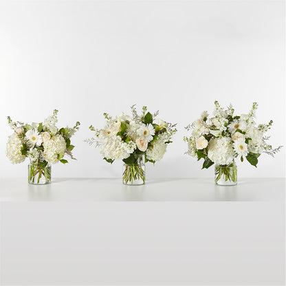 Sun-drenched Blooms Box Bouquet –  Colonial Nursery Garden Center, Ladysmith WI