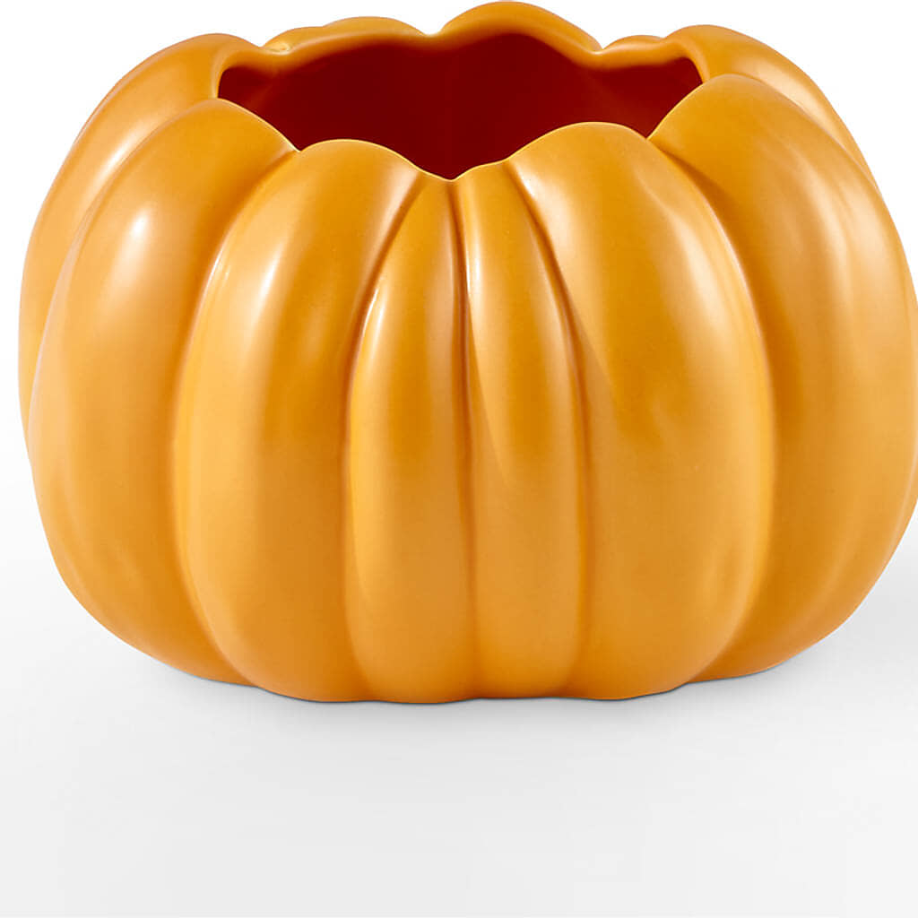 Golden Gourd Pumpkin Bouquet –  Colonial Nursery Garden Center, Ladysmith WI