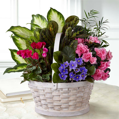 Peaceful Garden Planter –  Colonial Nursery Garden Center, Ladysmith WI