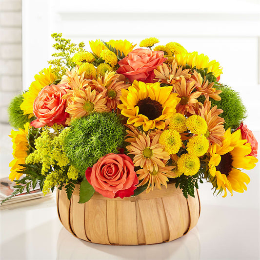 Harvest Sunflower Basket –  Colonial Nursery Garden Center, Ladysmith WI
