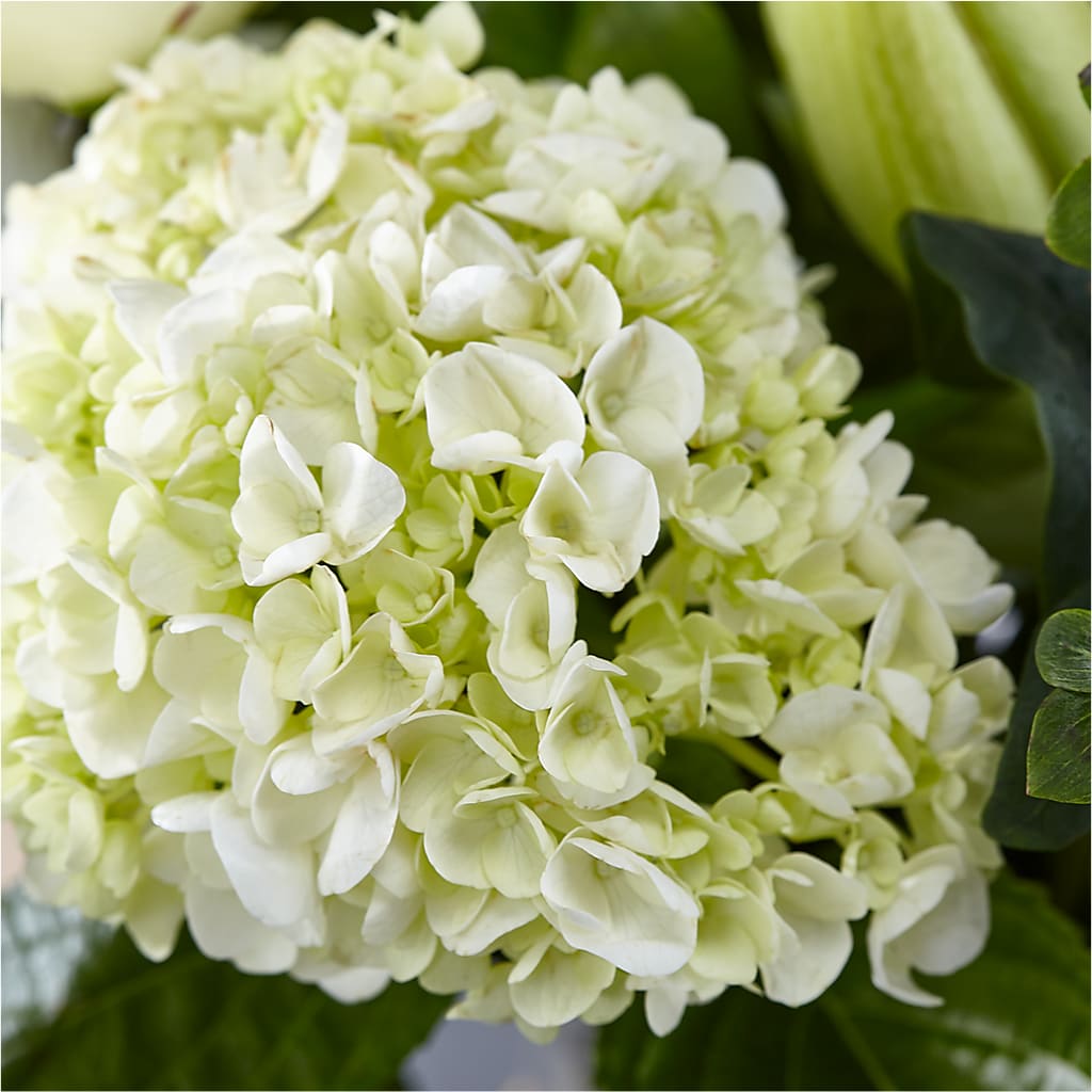 Classic Ivory – A Florist Original –  Colonial Nursery Garden Center, Ladysmith WI