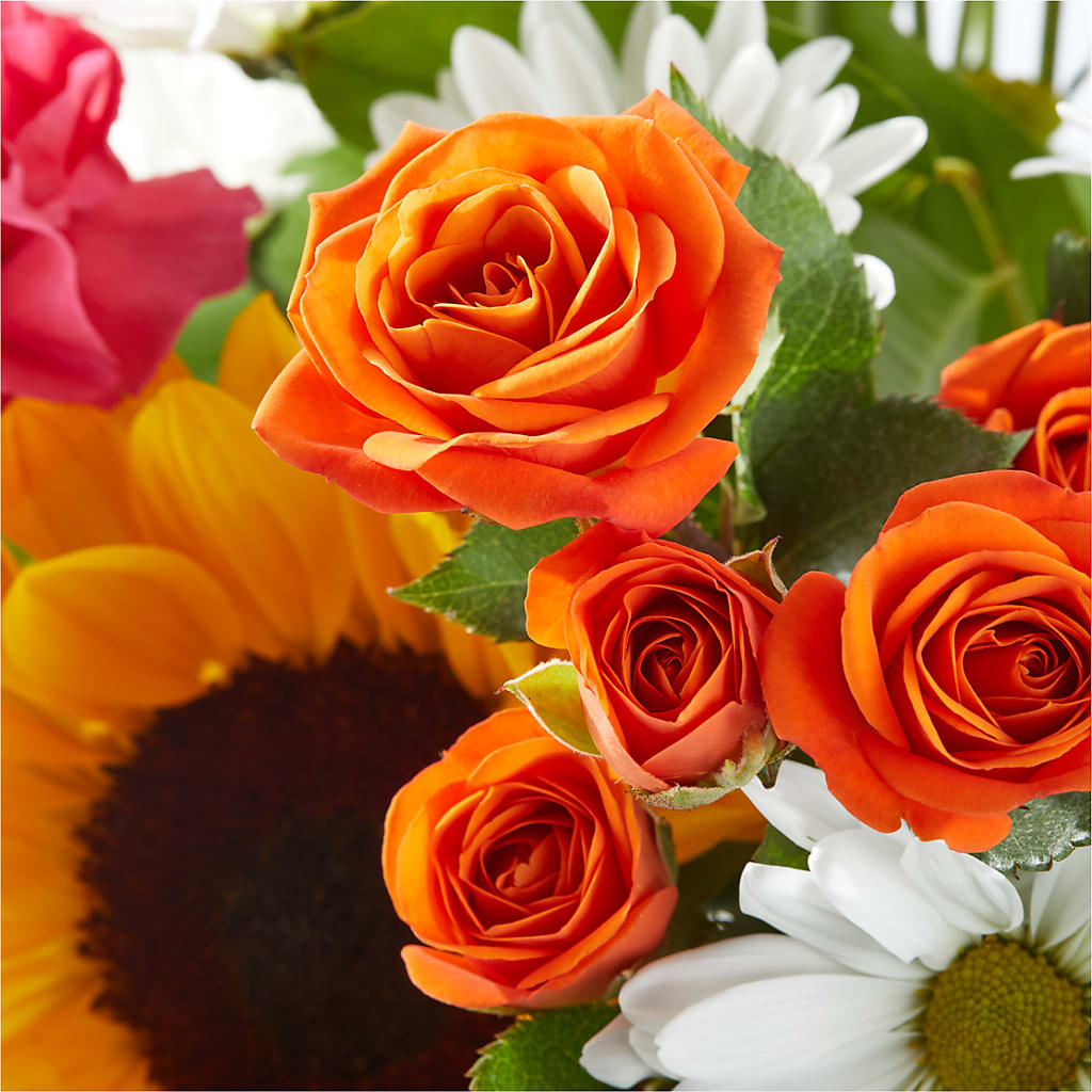 Sun-drenched Blooms Bouquet –  Colonial Nursery Garden Center, Ladysmith WI