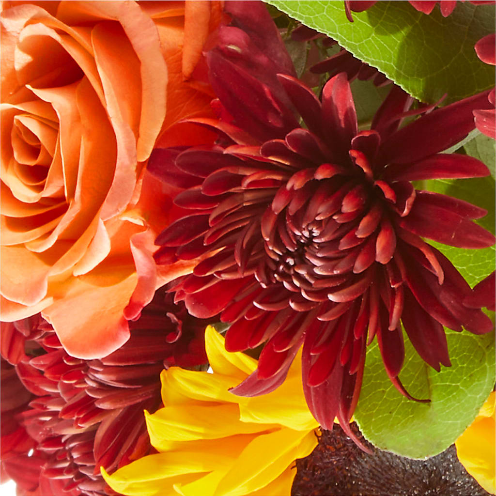 September Sunset Bouquet –  Colonial Nursery Garden Center, Ladysmith WI