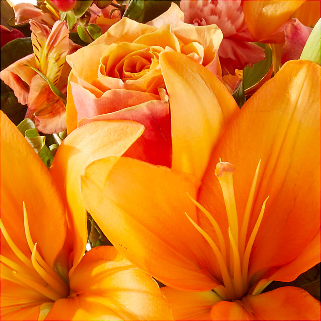 Afternoon Light Bouquet –  Colonial Nursery Garden Center, Ladysmith WI