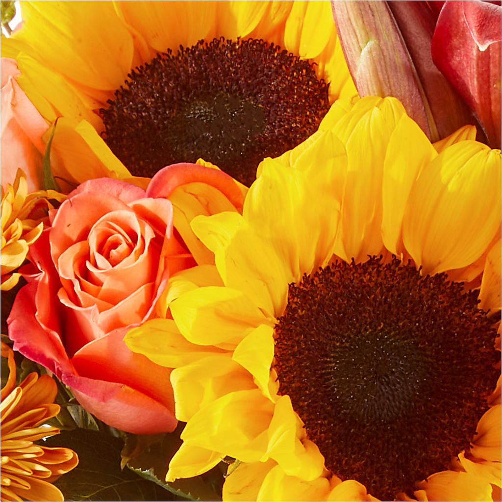 Acorn Lane Bouquet –  Colonial Nursery Garden Center, Ladysmith WI