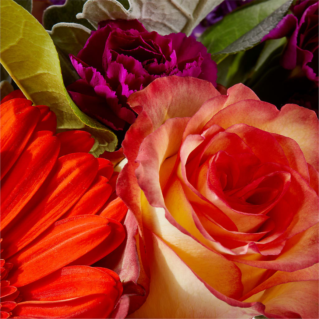 Sangria Bouquet –  Colonial Nursery Garden Center, Ladysmith WI