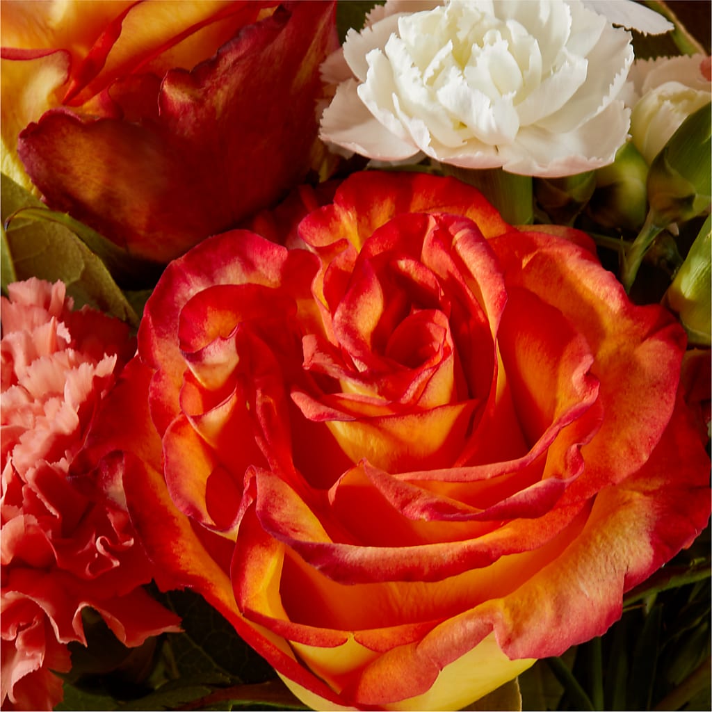 Apricot Glow Bouquet –  Colonial Nursery Garden Center, Ladysmith WI