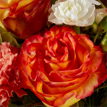 Apricot Glow Bouquet –  Colonial Nursery Garden Center, Ladysmith WI