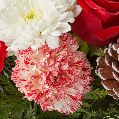Candy Cane Lane Bouquet –  Colonial Nursery Garden Center, Ladysmith WI