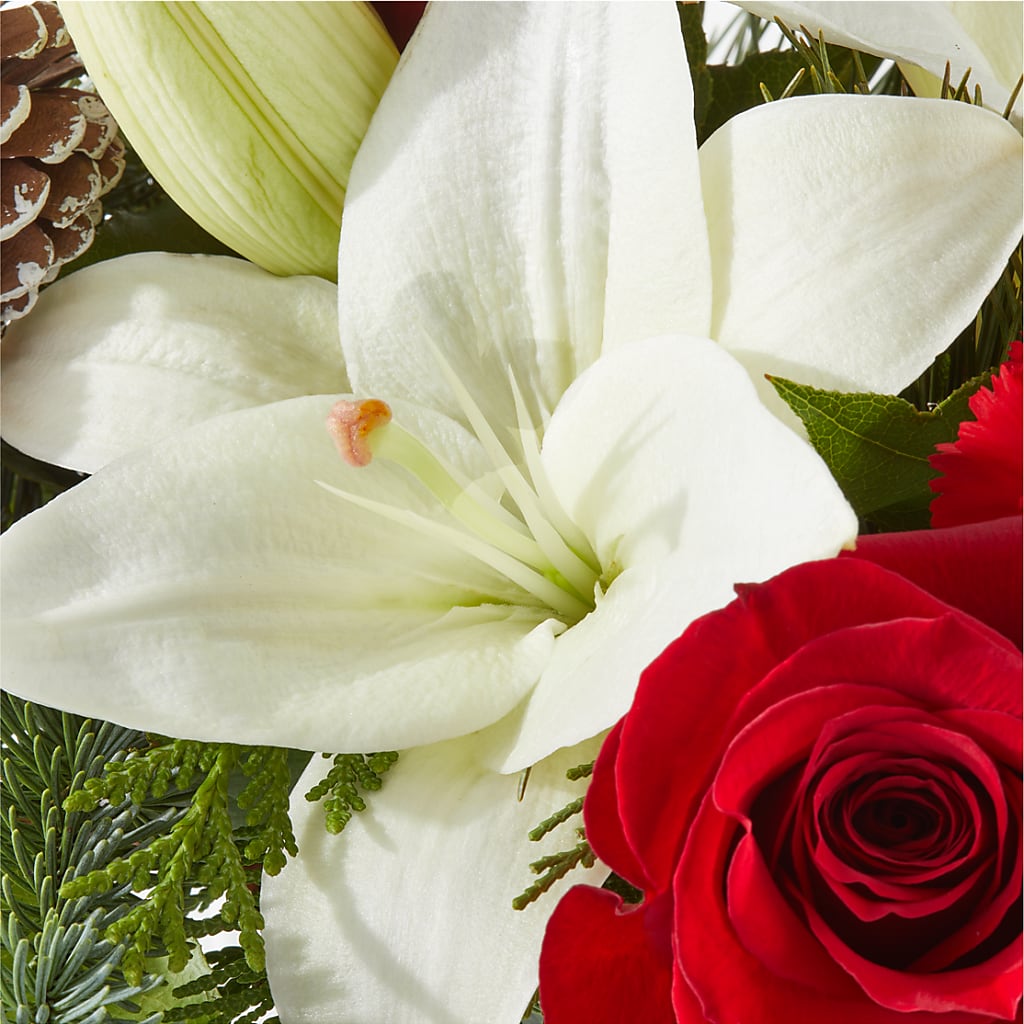 Oh So Jolly Bouquet –  Colonial Nursery Garden Center, Ladysmith WI