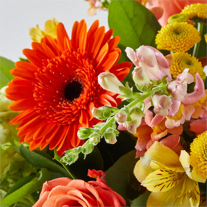 Autumn Sunshine Bouquet –  Colonial Nursery Garden Center, Ladysmith WI