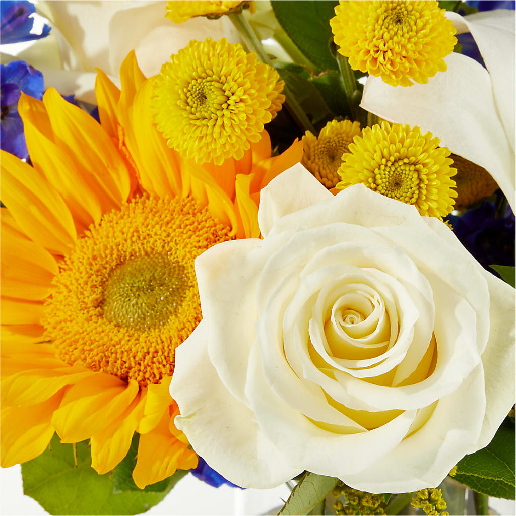 Stargazing Bouquet –  Colonial Nursery Garden Center, Ladysmith WI