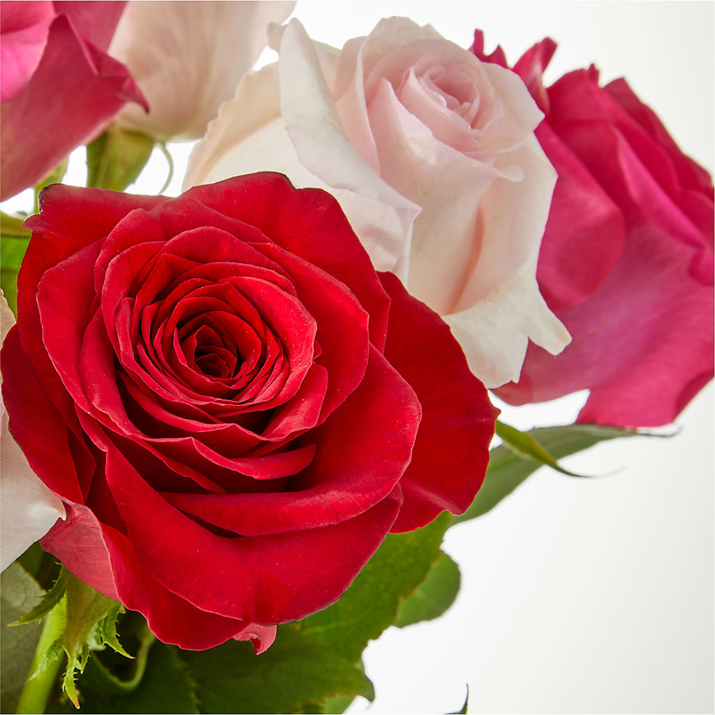 Charming Rose Bouquet –  Colonial Nursery Garden Center, Ladysmith WI