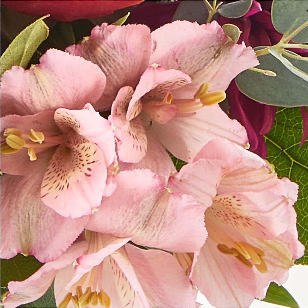 Berry Cobbler Bouquet –  Colonial Nursery Garden Center, Ladysmith WI