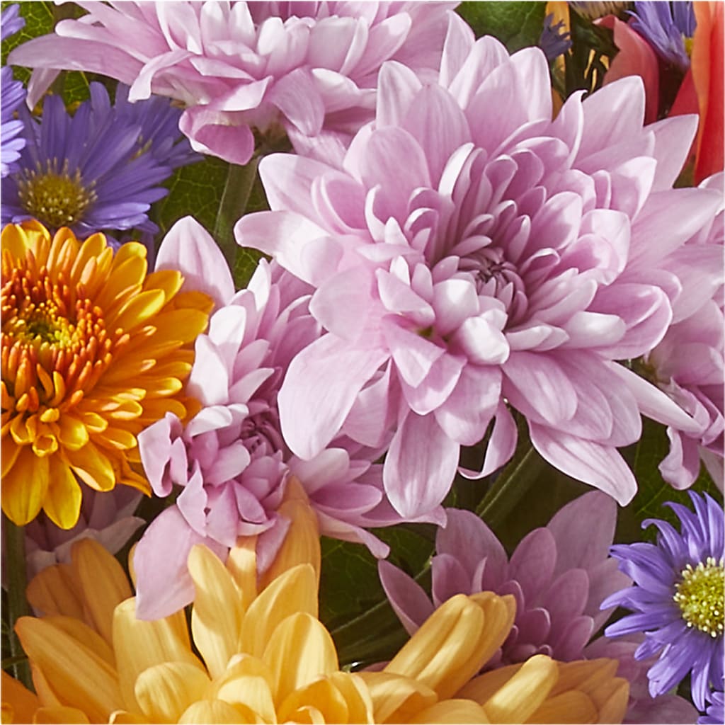 Countryside Bouquet –  Colonial Nursery Garden Center, Ladysmith WI