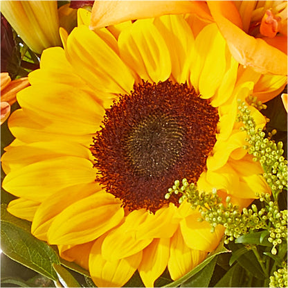 Seasons Change Bouquet –  Colonial Nursery Garden Center, Ladysmith WI
