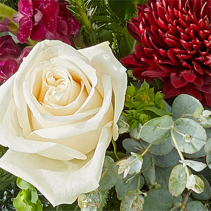Cranberry Fizz Bouquet –  Colonial Nursery Garden Center, Ladysmith WI