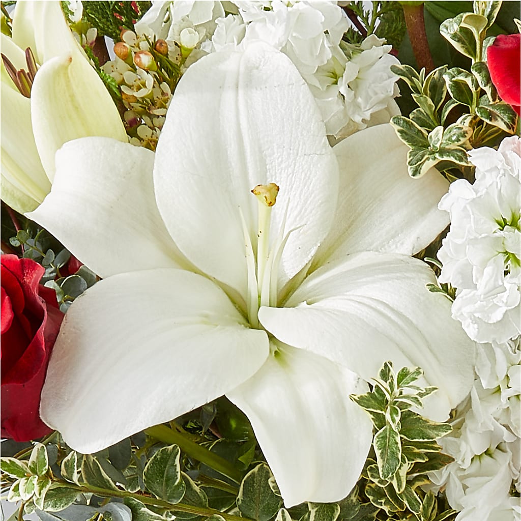 Twinkle Lights Bouquet –  Colonial Nursery Garden Center, Ladysmith WI