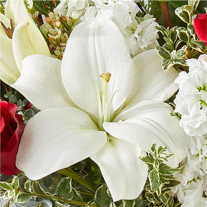 Twinkle Lights Bouquet –  Colonial Nursery Garden Center, Ladysmith WI