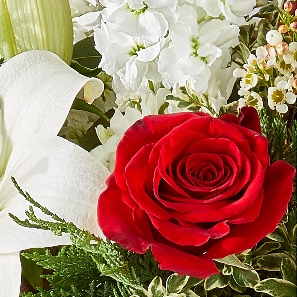 Twinkle Lights Bouquet –  Colonial Nursery Garden Center, Ladysmith WI