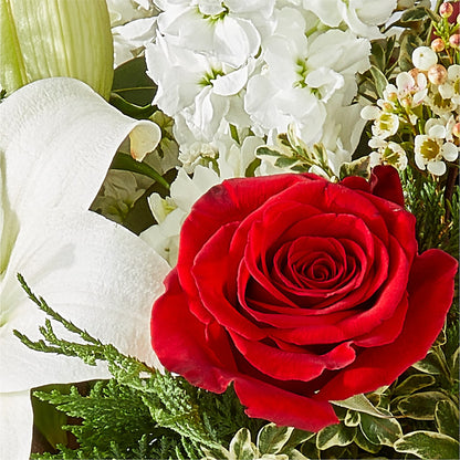Twinkle Lights Bouquet –  Colonial Nursery Garden Center, Ladysmith WI