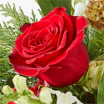 Deck the Halls Bouquet –  Colonial Nursery Garden Center, Ladysmith WI