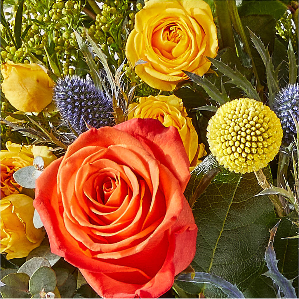 Disco Bouquet –  Colonial Nursery Garden Center, Ladysmith WI