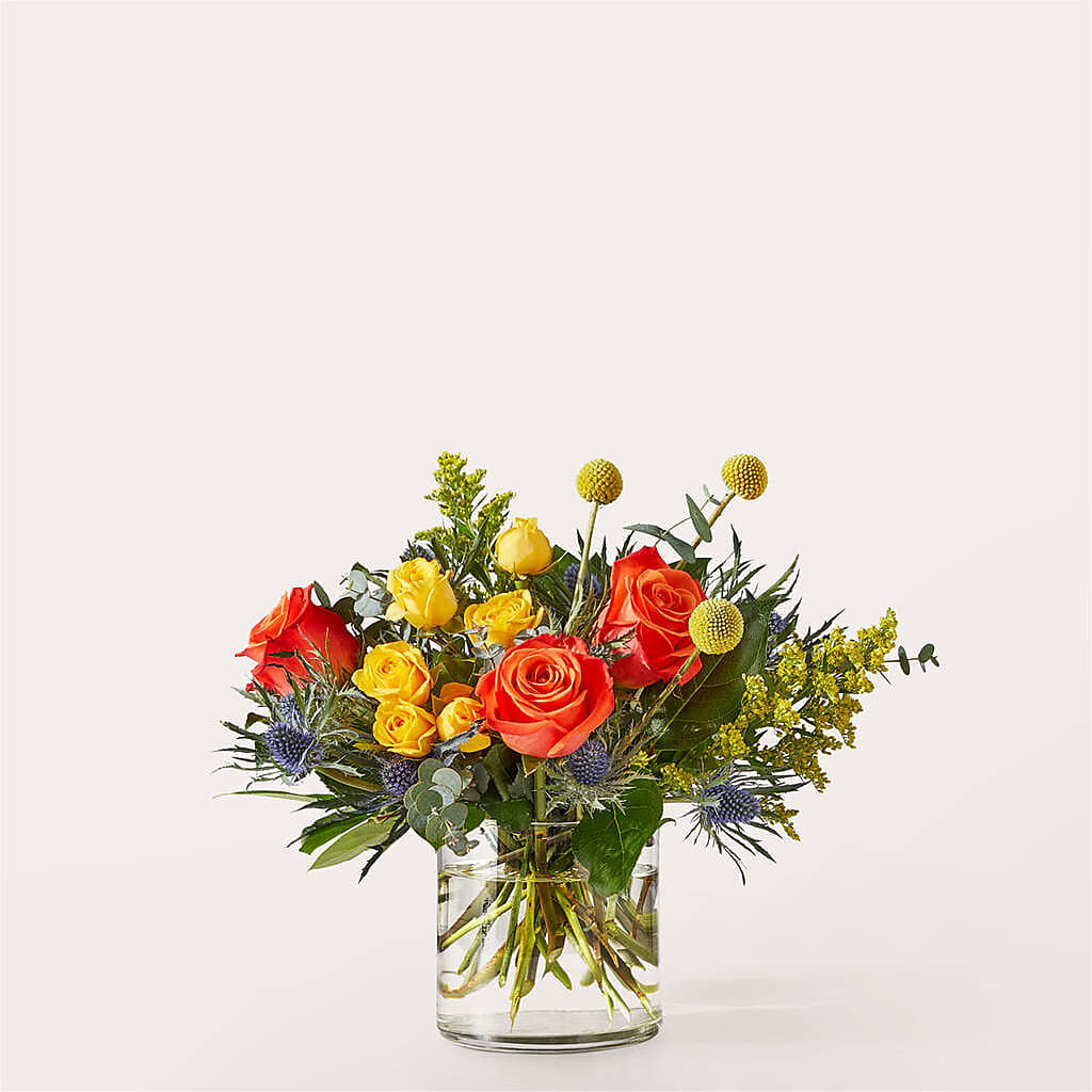 Disco Bouquet –  Colonial Nursery Garden Center, Ladysmith WI