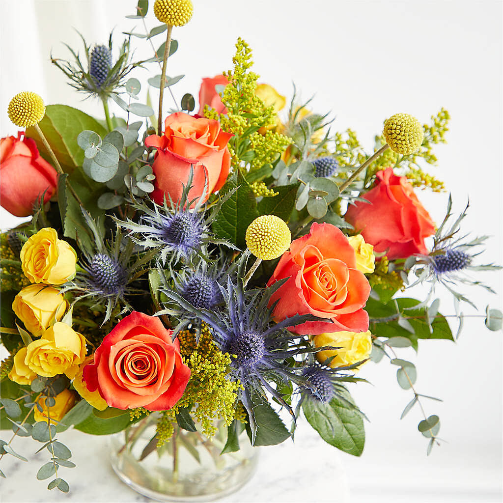 Disco Bouquet –  Colonial Nursery Garden Center, Ladysmith WI