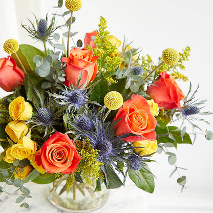 Disco Bouquet –  Colonial Nursery Garden Center, Ladysmith WI