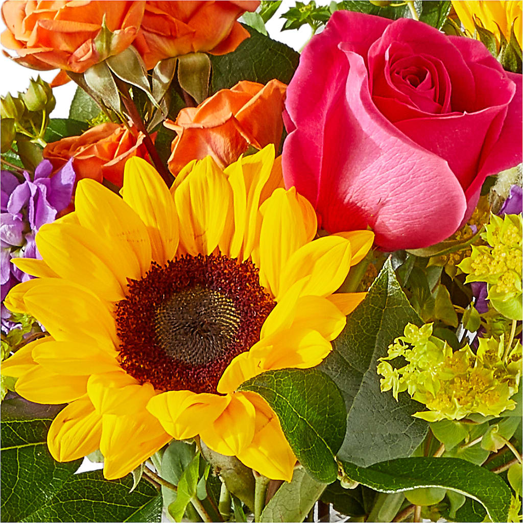 Vibrant Greetings Bouquet –  Colonial Nursery Garden Center, Ladysmith WI