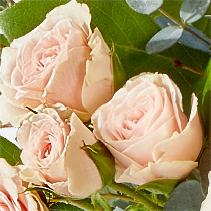 Inspired Bouquet –  Colonial Nursery Garden Center, Ladysmith WI