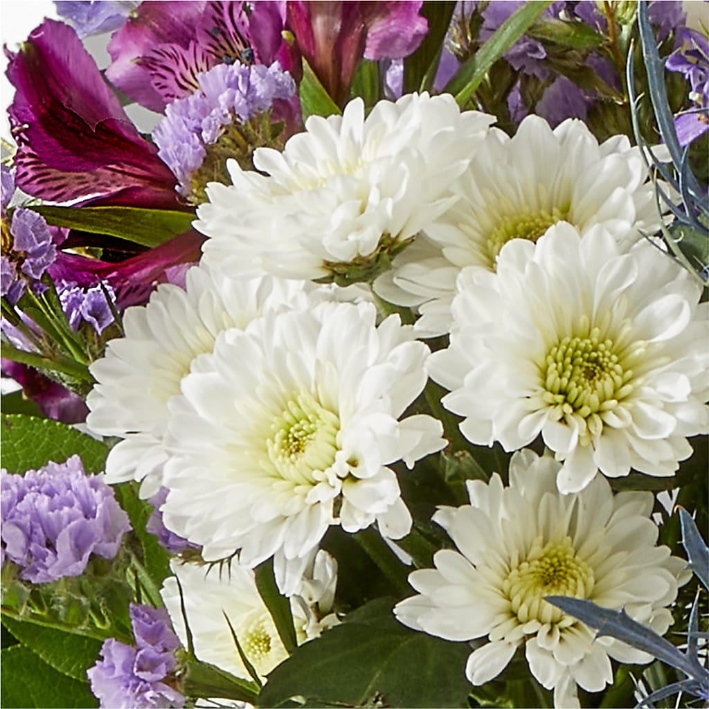 Shooting Star Bouquet –  Colonial Nursery Garden Center, Ladysmith WI